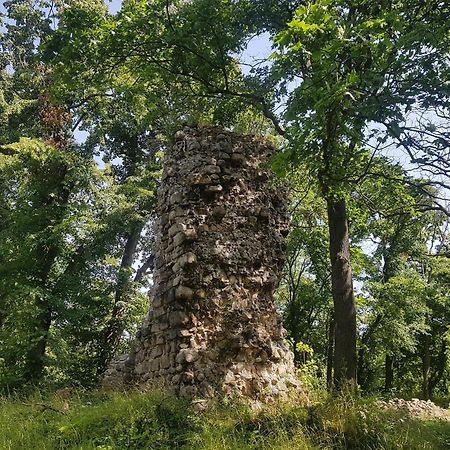 Ferienhaus Renate 7 Thale Bagian luar foto