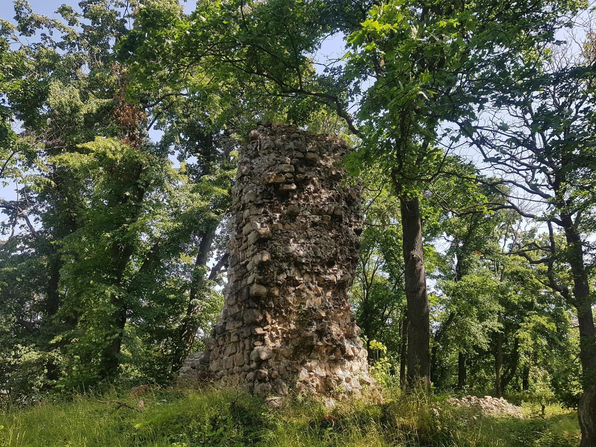 Ferienhaus Renate 7 Thale Bagian luar foto