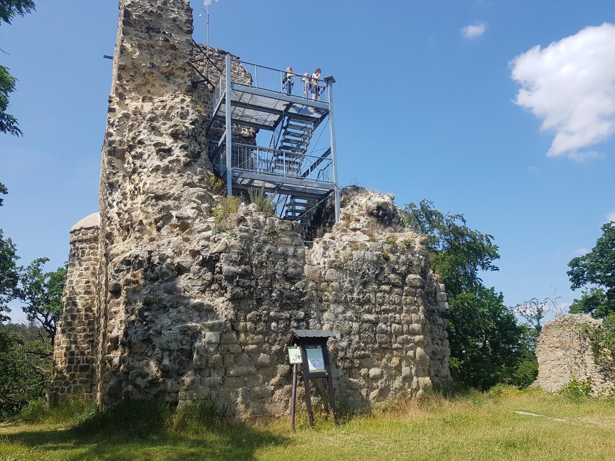 Ferienhaus Renate 7 Thale Bagian luar foto