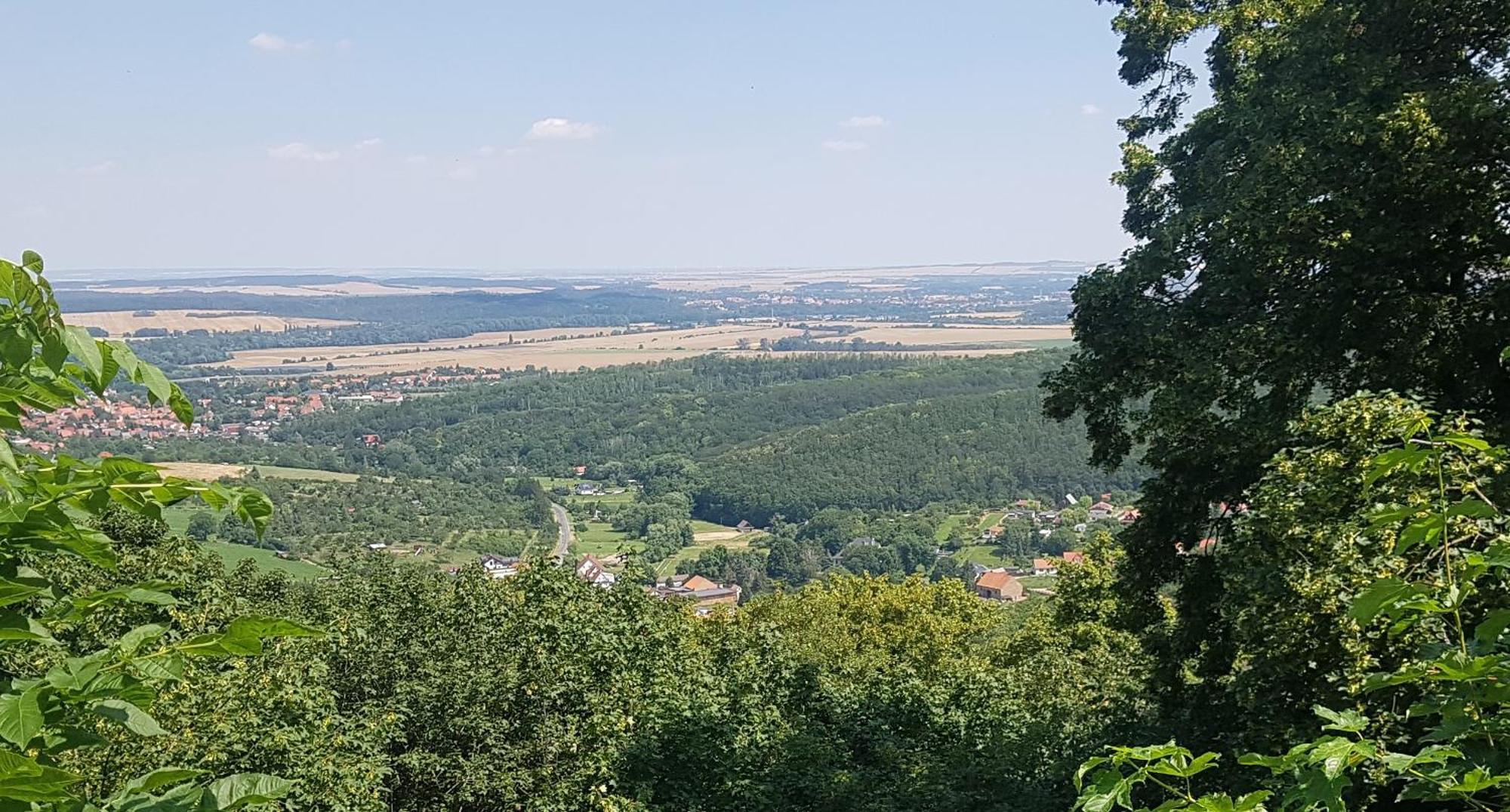 Ferienhaus Renate 7 Thale Bagian luar foto